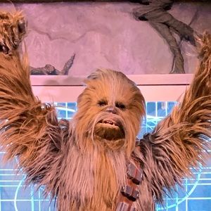 Meet your Posher, Savanah